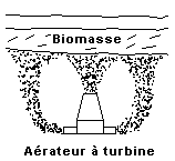 Flüssigbett